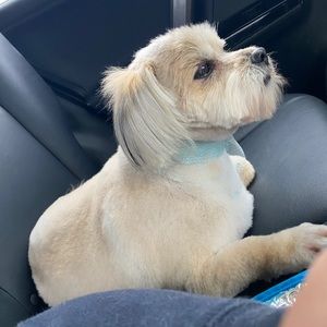 Meet your Posher, Claudia